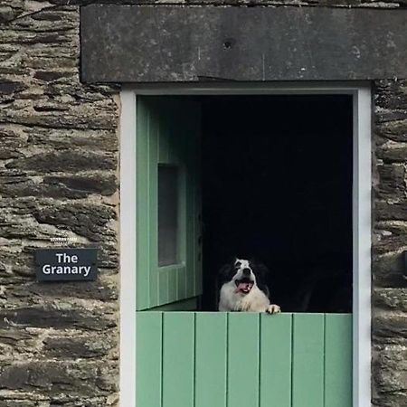 Dog Friendly Cottage, Geufron Farm Near Tywyn Bryn-crug Екстер'єр фото