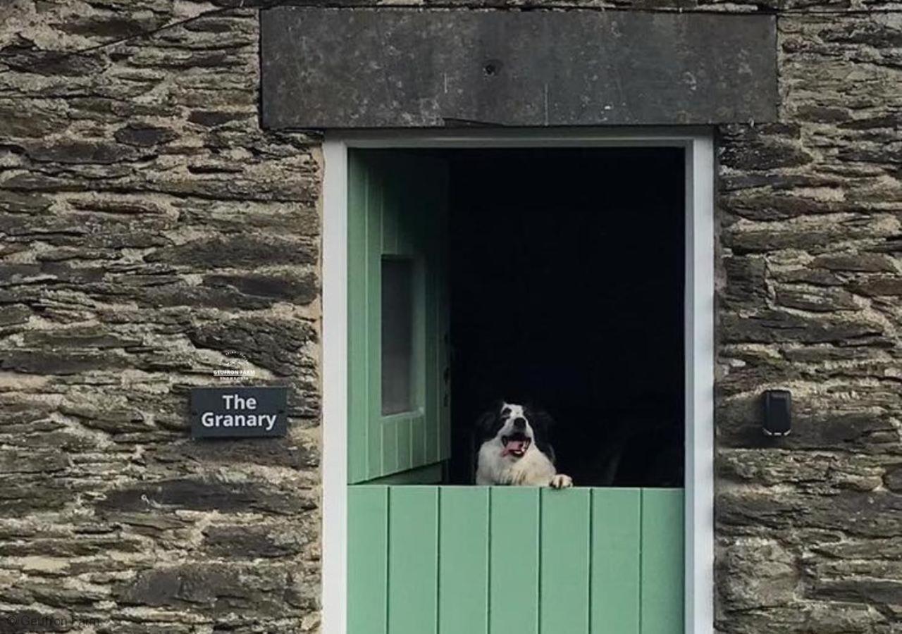Dog Friendly Cottage, Geufron Farm Near Tywyn Bryn-crug Екстер'єр фото