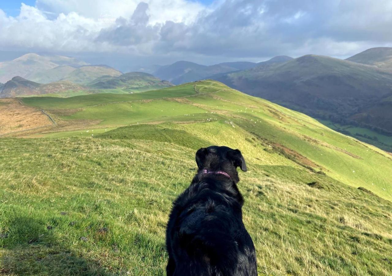 Dog Friendly Cottage, Geufron Farm Near Tywyn Bryn-crug Екстер'єр фото