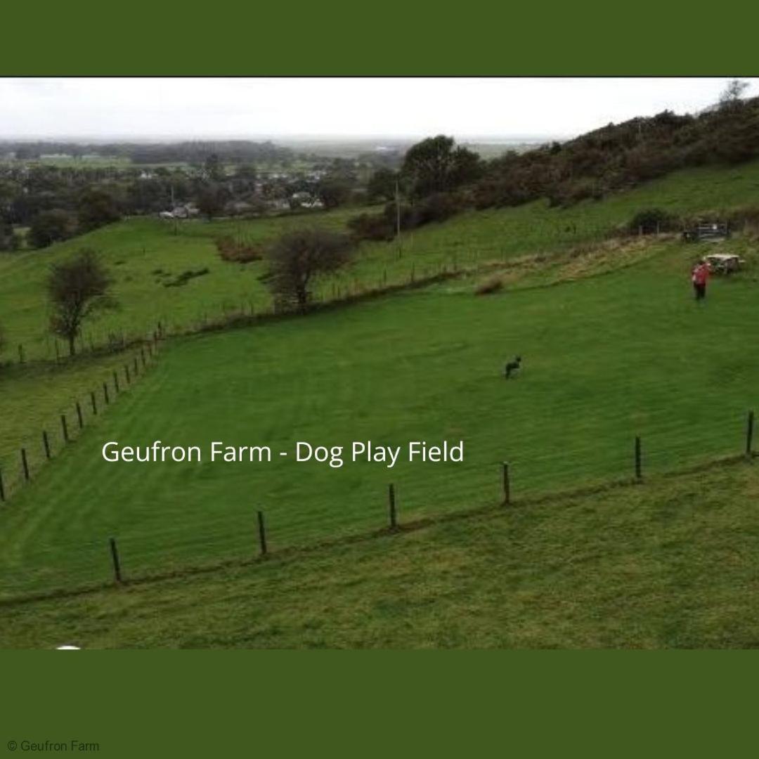 Dog Friendly Cottage, Geufron Farm Near Tywyn Bryn-crug Екстер'єр фото