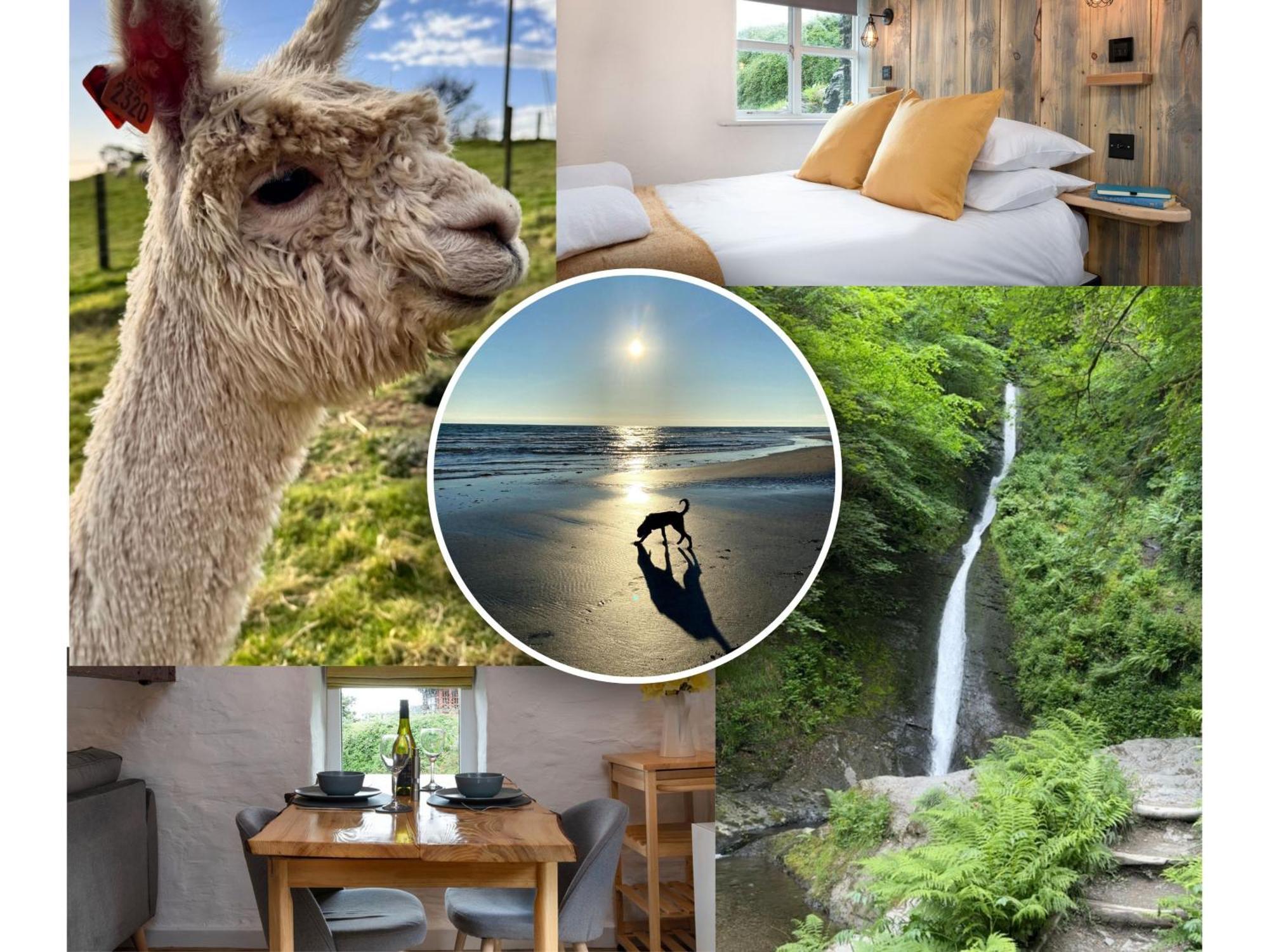 Dog Friendly Cottage, Geufron Farm Near Tywyn Bryn-crug Екстер'єр фото
